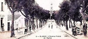 2603- Alger-El-Biar - Avenue Prenat et l'Eglise2 - 1908